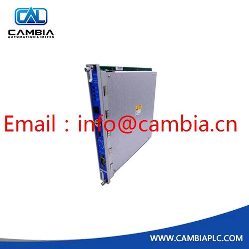 BENTLY NEVADA	138607-01	Email:info@cambia.cn